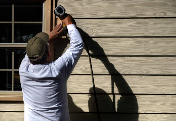 Best Custom Siding Design  in Williamson, AZ