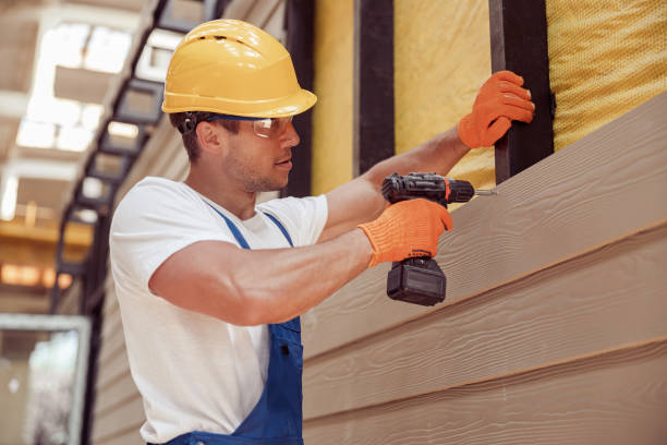 Best Custom Trim and Detailing for Siding  in Williamson, AZ
